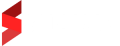Snavio Logo V2